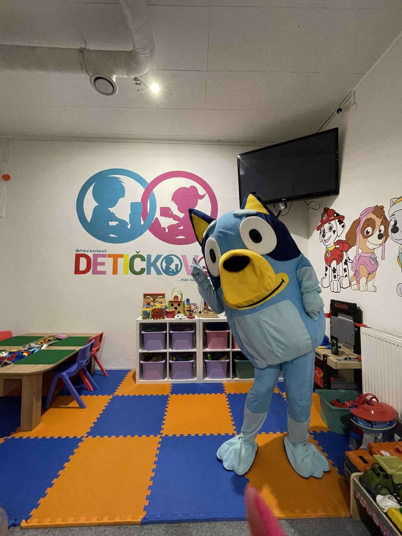Bluey naživo
